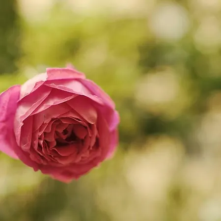 Arcadia Appartement Rome