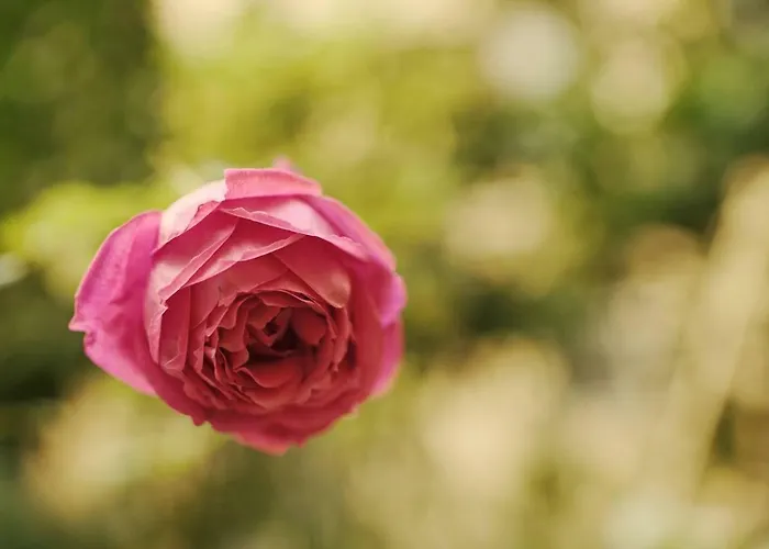 Arcadia Appartement Rome